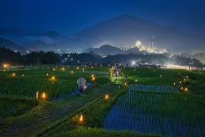 かがり火まつり