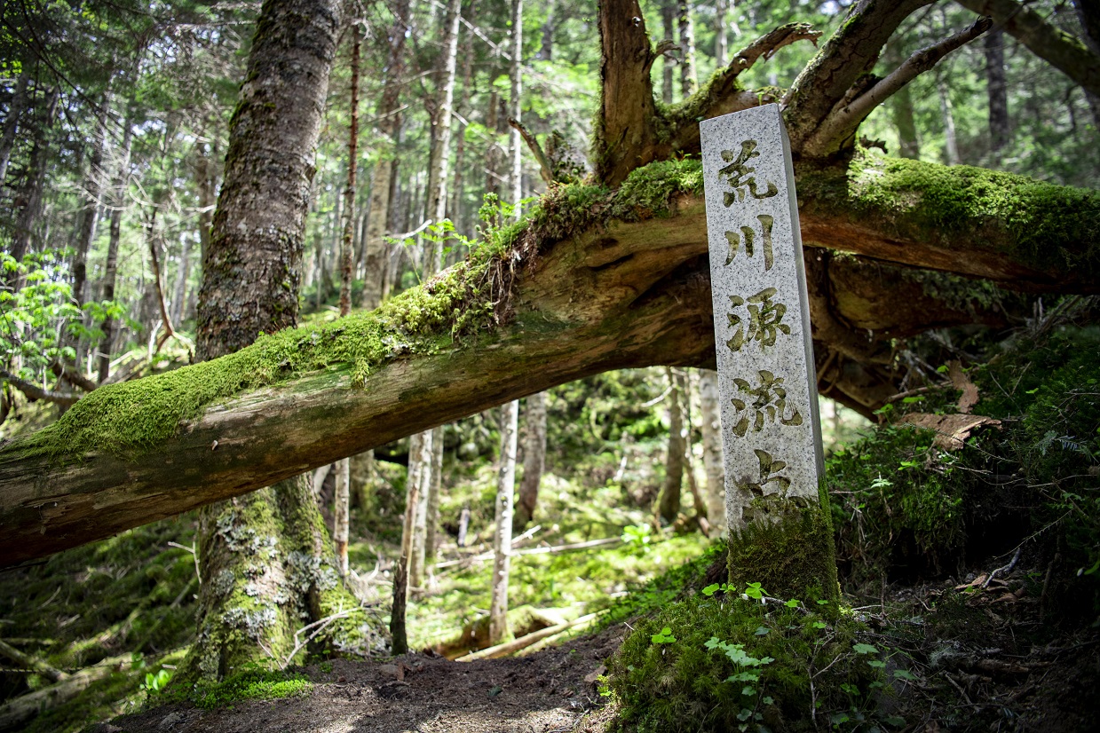 荒川源流点