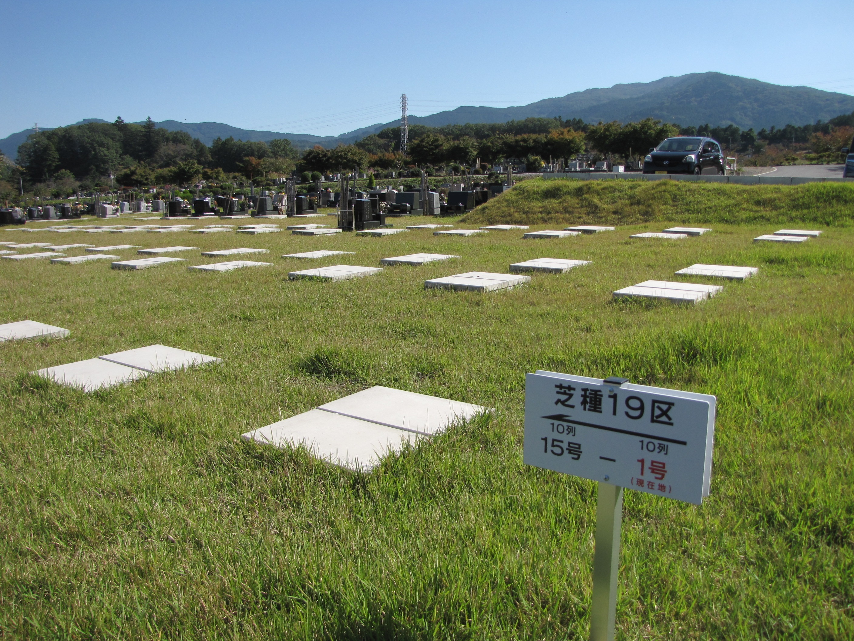 芝19区