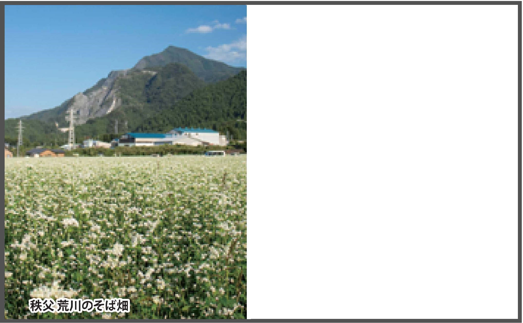 名刺デザイン（そば畑）